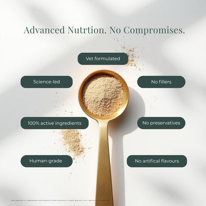 Daily Superfood